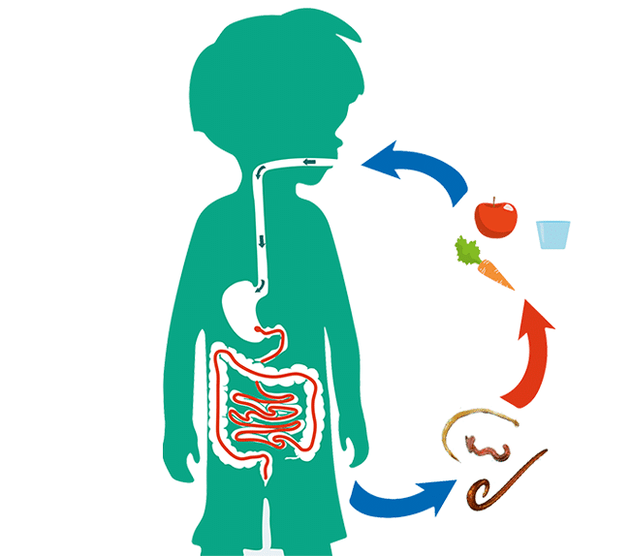 rrugët e infektimit të njeriut nga parazitët