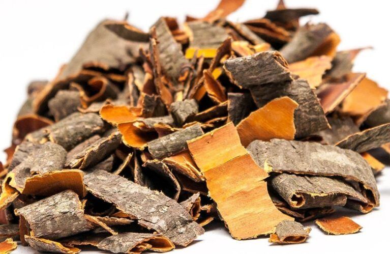 lëvorja e aspenit kundër parazitëve